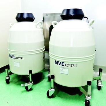 mve  xc47/11-10查特液氮罐供应
