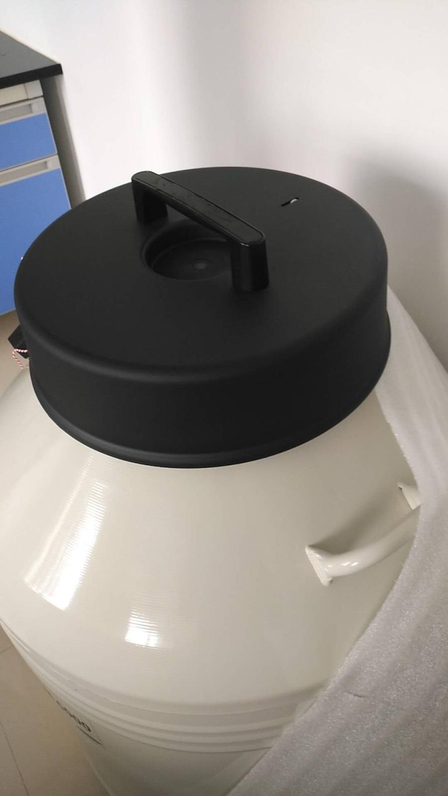 Cryosystem6000（进口175升方提桶）方提桶液氮罐