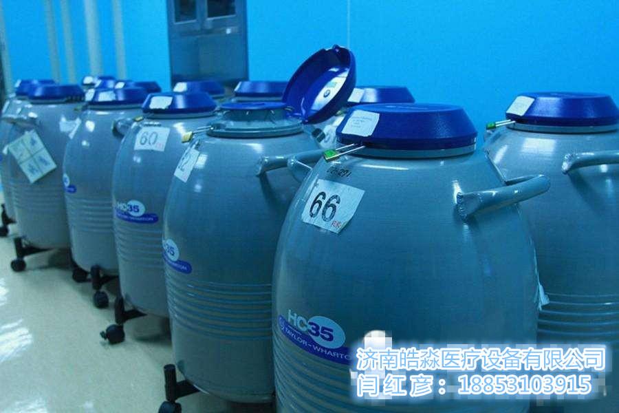 泰来华顿LS6000＿_ 165升进口液氮罐品牌