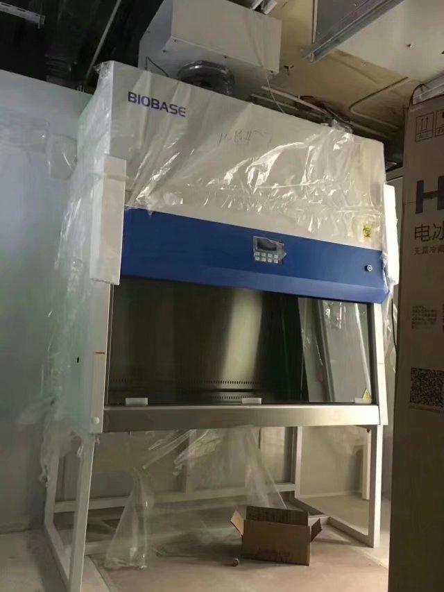 BSC-1100IIB2-X山东博科生物安全柜厂家